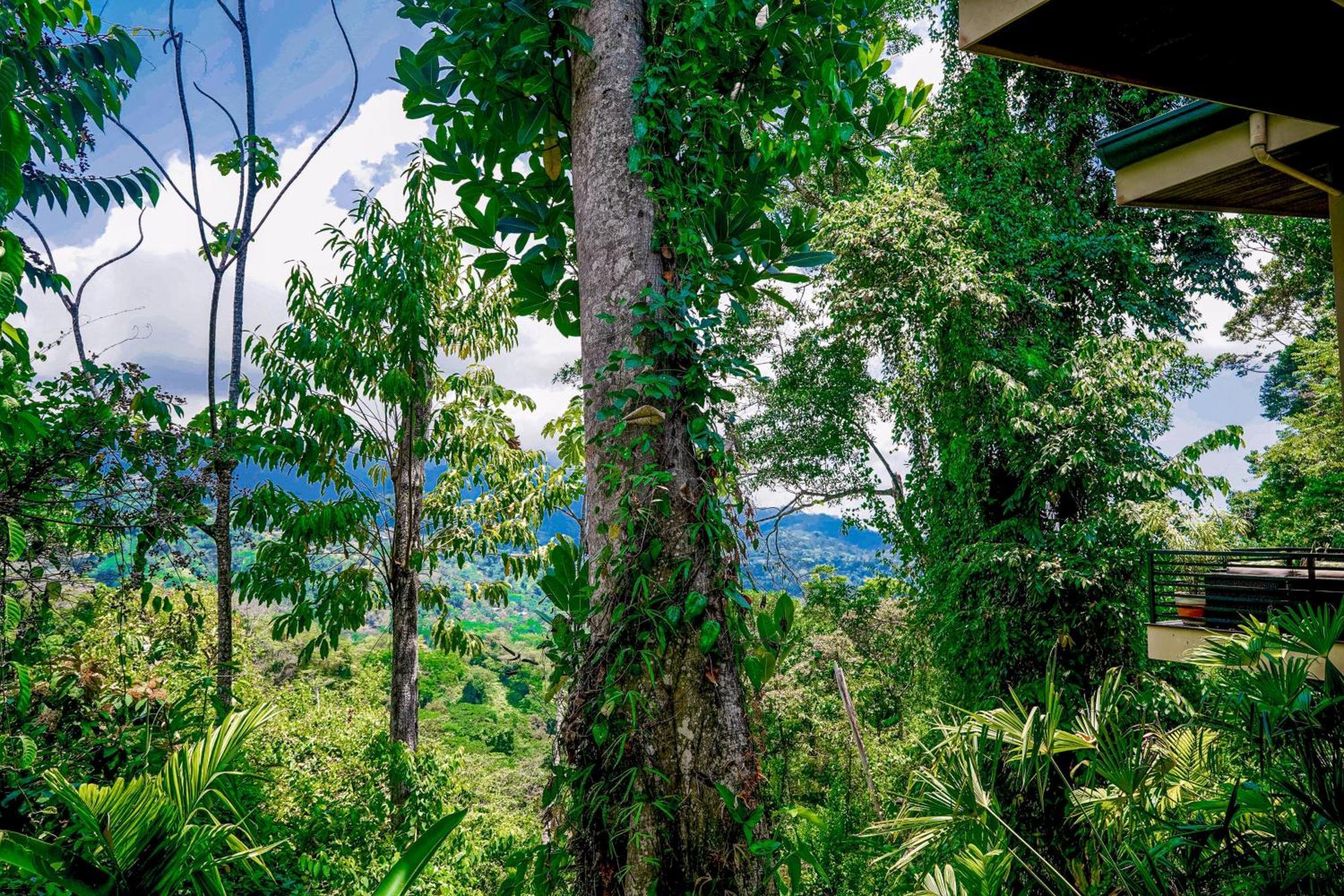 Casa Vista Verde Увита Экстерьер фото